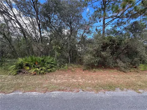 3509 N Indianhead Rd, Hernando, FL 34442 photo 6