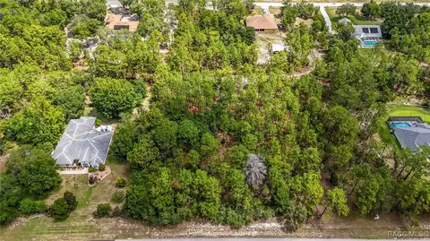 4347 W Pansy Ln, Beverly Hills, FL 34465