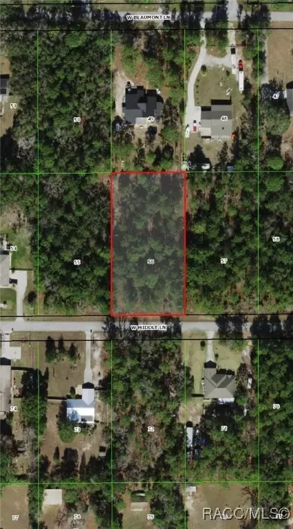 2219 W Middle Ln, Lecanto, FL 34461