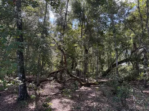4644 S Ironwood Pt, Inverness, FL 34450