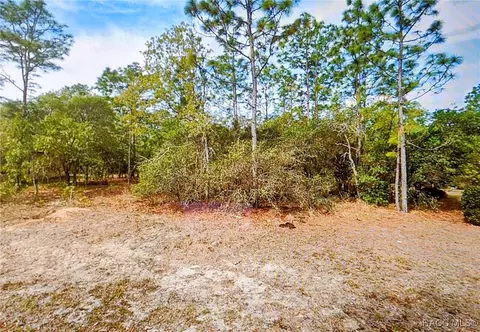 14 Fringetree Ct, Homosassa, FL 34446