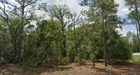 9586 N Wayland Ave, Citrus Springs, FL 34434