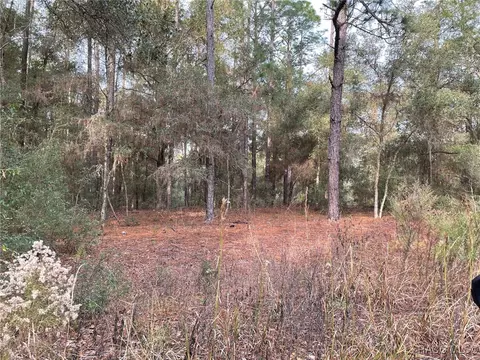 lot9 SW 152nd Ave, Ocala, FL 34481