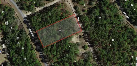 1540 W Donner Dr, Citrus Springs, FL 34434