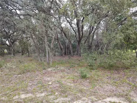 269 N Grandview Ave, Hernando, FL 34442