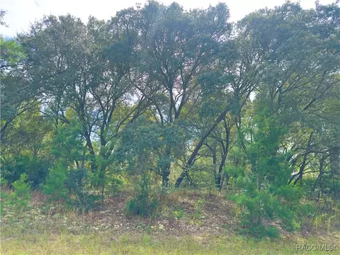 1888 W Mcneal Dr, Citrus Springs, FL 34434