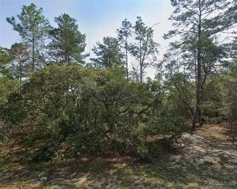 9219 N Akola Way, Citrus Springs, FL 34434