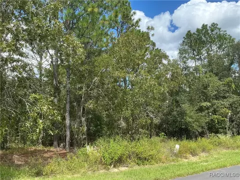 2519 E Marcia St, Inverness, FL 34453