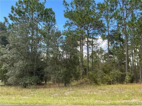 11300 N Kenney Loop, Dunnellon, FL 34433