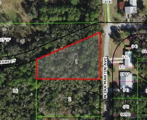 8974 N Ira Martin Ave, Crystal River, FL 34428