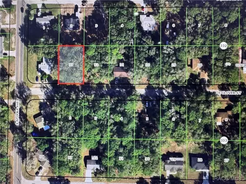 6325 E Glover St, Inverness, FL 34452