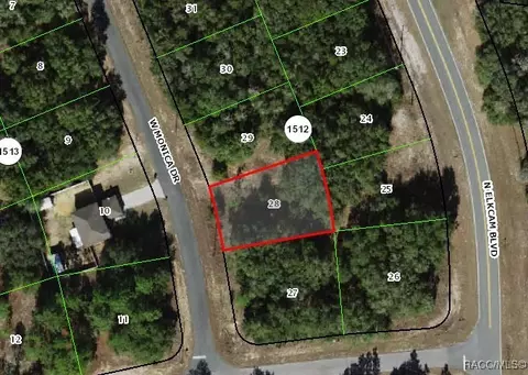 11703 N Monica Dr, Citrus Springs, FL 34433