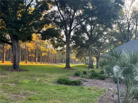 Exterior - 2347 N Putnam Pt, Hernando, FL 34442 photo 9 of 10