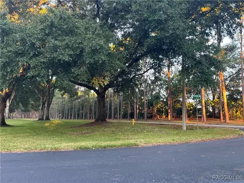 Exterior - 2347 N Putnam Pt, Hernando, FL 34442 photo 10 of 10