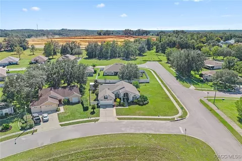 View/Area - 1189 S Fieldview Loop, Lecanto, FL 34461 photo 5 of 7