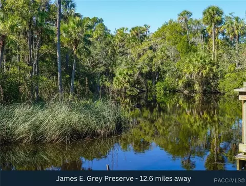 tbd Madeline, Hudson, FL 34667 photo 8
