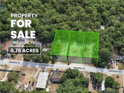 tbd Madeline, Hudson, FL 34667 photo 9