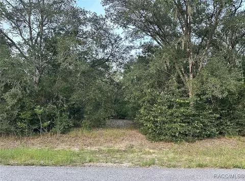 11803 N Providence Way, Citrus Springs, FL 34433