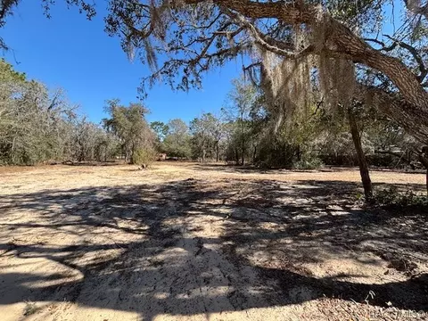 819 E Wacker St, Hernando, FL 34442 photo 15