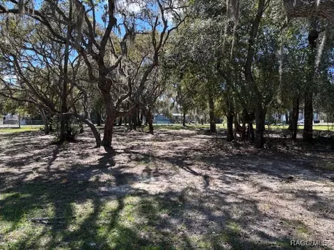 819 E Wacker St, Hernando, FL 34442 photo 4