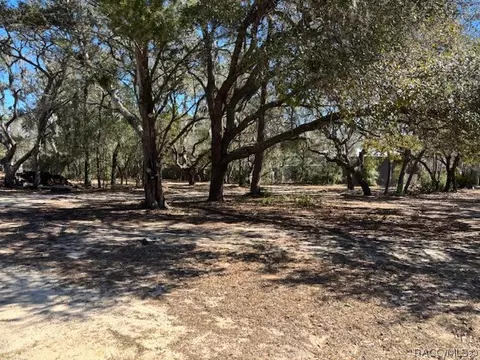 819 E Wacker St, Hernando, FL 34442 photo 8