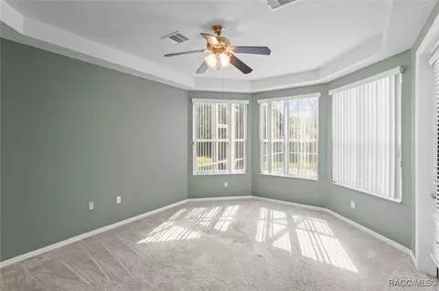 Other - 126 W Mickey Mantle Path, Hernando, FL 34442 photo 9 of 11