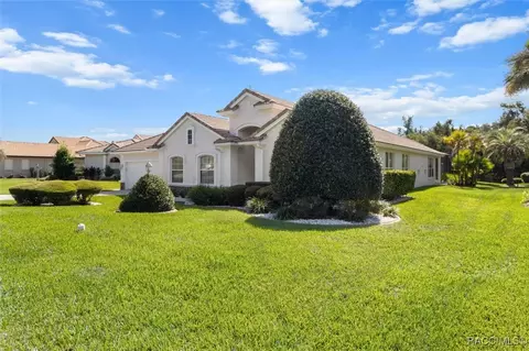Exterior - 126 W Mickey Mantle Path, Hernando, FL 34442 photo 16 of 16