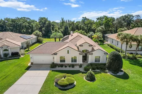 View/Area - 126 W Mickey Mantle Path, Hernando, FL 34442 photo 2 of 8