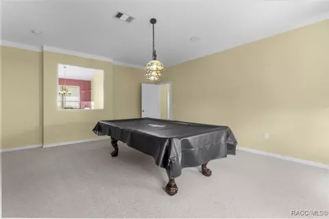 Other - 126 W Mickey Mantle Path, Hernando, FL 34442 photo 3 of 11
