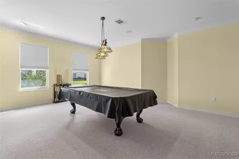 Other - 126 W Mickey Mantle Path, Hernando, FL 34442 photo 2 of 11