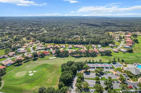 View/Area - 126 W Mickey Mantle Path, Hernando, FL 34442 photo 7 of 8