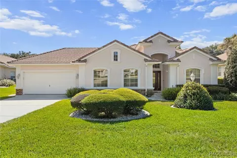 Exterior - 126 W Mickey Mantle Path, Hernando, FL 34442 photo 3 of 16