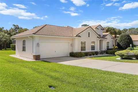 Exterior - 126 W Mickey Mantle Path, Hernando, FL 34442 photo 14 of 16