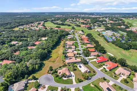 View/Area - 126 W Mickey Mantle Path, Hernando, FL 34442 photo 5 of 8