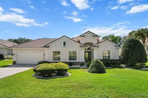 Exterior - 126 W Mickey Mantle Path, Hernando, FL 34442 photo 15 of 16
