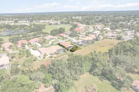 View/Area - 126 W Mickey Mantle Path, Hernando, FL 34442 photo 4 of 8