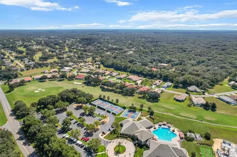 View/Area - 126 W Mickey Mantle Path, Hernando, FL 34442 photo 8 of 8