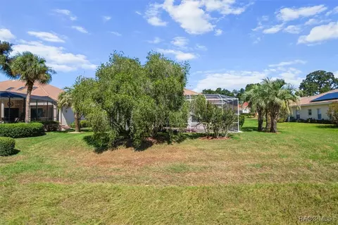 Exterior - 126 W Mickey Mantle Path, Hernando, FL 34442 photo 13 of 16
