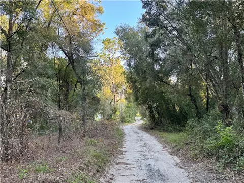 8703 S Greenhouse Ter, Floral City, FL 34436