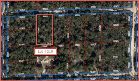 lot216 NE 86th St, Bronson, FL 32621