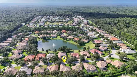 View/Area - 1040 W Beagle Run Loop, Hernando, FL 34442 photo 14 of 16