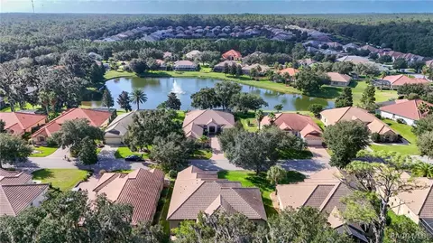 View/Area - 1040 W Beagle Run Loop, Hernando, FL 34442 photo 11 of 16