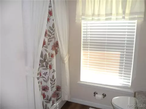 1255 E Rockefeller Ln, Hernando, FL 34442 photo 38