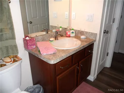 1255 E Rockefeller Ln, Hernando, FL 34442 photo 29