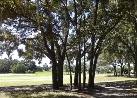 Other - 336 W Doerr Path, Hernando, FL 34442 photo 6 of 15