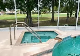 Exterior - 336 W Doerr Path, Hernando, FL 34442 photo 8 of 12