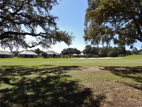 Exterior - 336 W Doerr Path, Hernando, FL 34442 photo 11 of 12