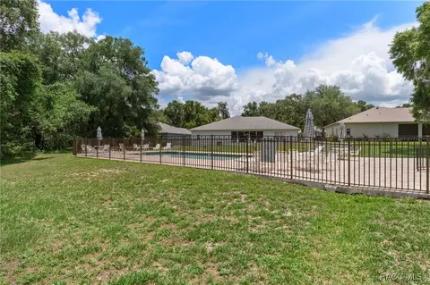 Exterior - 3059 N Chandler Dr, Hernando, FL 34442 photo 16 of 16