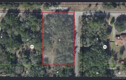 12646 W Cypress Vine Ln, Crystal River, FL 34428