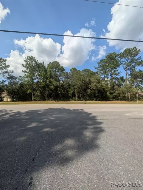 3515 W Century Blvd, Citrus Springs, FL 34433